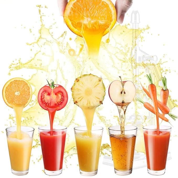 Heavy Duty Manual Fruit Juicer